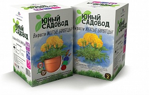 Набор для экспериментов Юный садовод - Вырасти желтые бархатцы (Висма, 408пл)